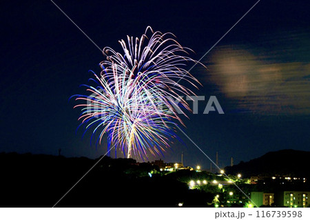 久里浜　ペリー祭の花火 116739598