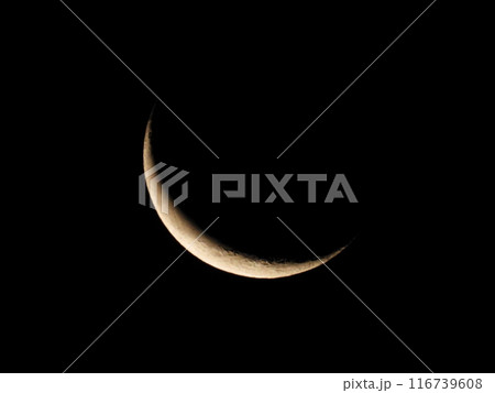 10.9%moon 116739608