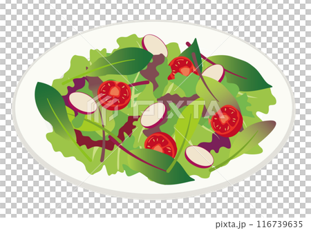 洋食_イタリアン_サラダ（野菜）ドレッシングなし 116739635