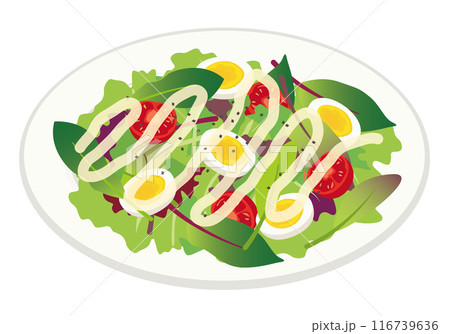 洋食_イタリアン_サラダ（野菜） 116739636