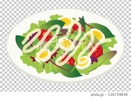 西餐_義大利菜_沙拉（蔬菜） 116739636