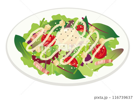 洋食_イタリアン_シーザーサラダ(野菜) 洋食_イタリアン_シーザーサラダ(野菜) 116739637