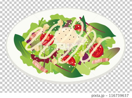 洋食_イタリアン_シーザーサラダ(野菜) 洋食_イタリアン_シーザーサラダ(野菜) 116739637