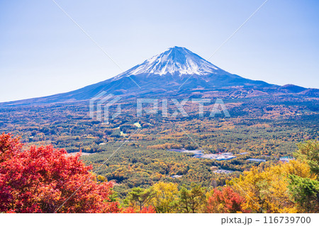 (山梨県)鳴沢村紅葉台の紅葉と富士山 (山梨県)鳴沢村紅葉台の紅葉と富士山 116739700