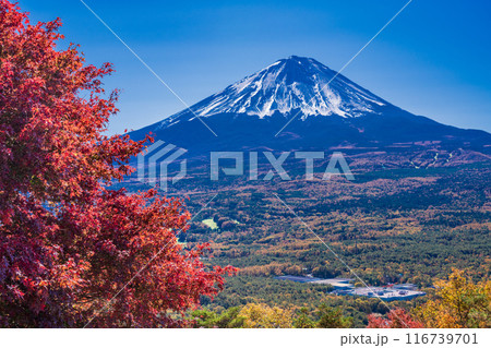 （山梨県）鳴沢村紅葉台の紅葉と富士山 116739701