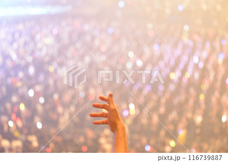 ライブ会場の盛り上がり 116739887