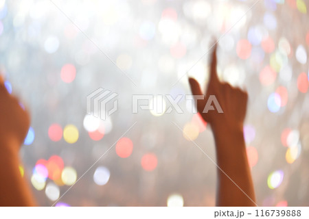 ライブ会場の盛り上がり 116739888