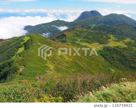 火打山から望む初秋の妙高山 火打山から望む初秋の妙高山 116739915