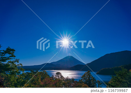 (山梨県)本栖湖・湖畔の紅葉と富士山 (山梨県)本栖湖・湖畔の紅葉と富士山 116739987