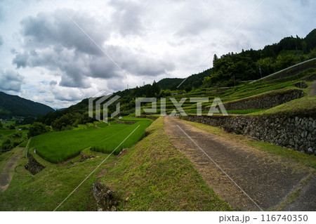 夏の雲に覆われた棚田の風景 夏の雲に覆われた棚田の風景 116740350
