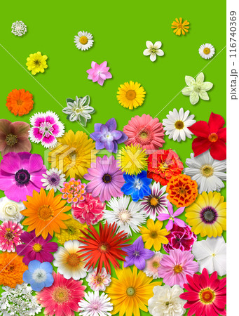 花いっぱいの、緑のグラデーション 花いっぱいの、緑のグラデーション 116740369