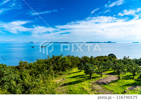 初秋の万葉の岬からの風景 つばき園と家島諸島1 兵庫県相生市 初秋の万葉の岬からの風景 つばき園と家島諸島1 兵庫県相生市 116740575