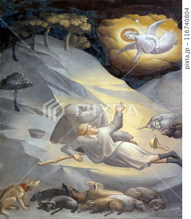 Annunciation to the Shepherds, fresco by Taddeo Gaddi (1295-1366), Baroncelli Chapel in the Basilica di Santa Croce (Basilica of the Holy Cross) - famous Franciscan church in Florence, Italy 116740804