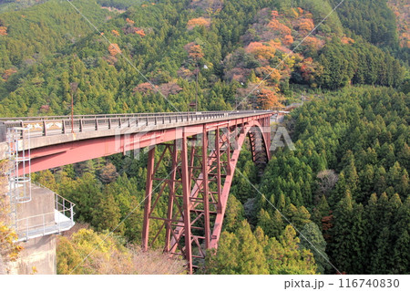 愛媛県四国中央市　赤い橋梁　藤原大橋 116740830
