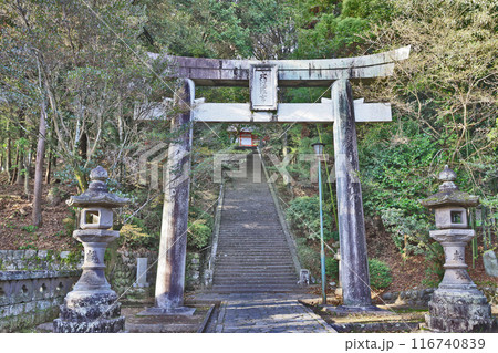 大分県日田市の総鎮守大原八幡宮鳥居と参道 116740839