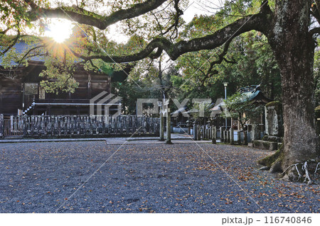 大分県日田市の総鎮守大原八幡宮境内 116740846