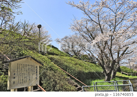 大分県日田市街が展望できる桜咲く鏡坂公園 大分県日田市街が展望できる桜咲く鏡坂公園 116740855