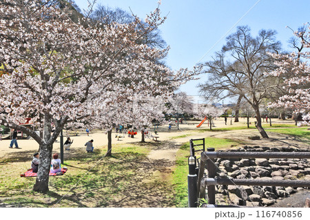 大分県日田市の人気観光スポット三隈川沿いの亀山公園 大分県日田市の人気観光スポット三隈川沿いの亀山公園 116740856