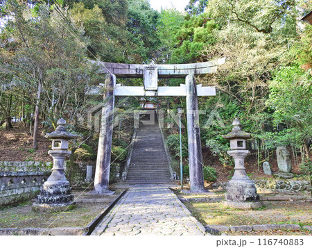 大分県日田市の総鎮守大原八幡宮鳥居と参道の石段 116740883