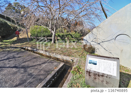 大分県日田市の市街地が展望できる鏡坂公園 116740895