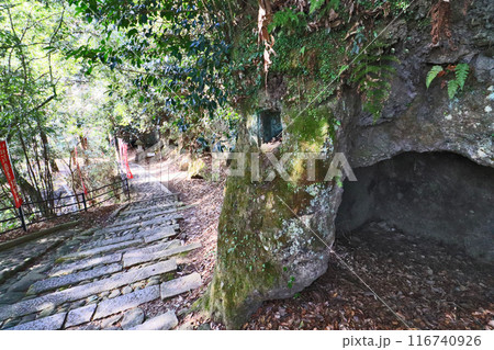大分県日田市の月隈公園にある横穴墓群 大分県日田市の月隈公園にある横穴墓群 116740926