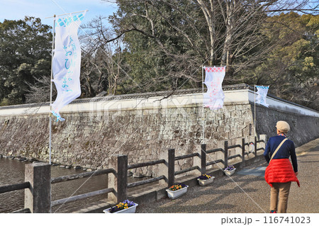 大分県日田市の人気観光観光スポット月隈公園 大分県日田市の人気観光観光スポット月隈公園 116741023