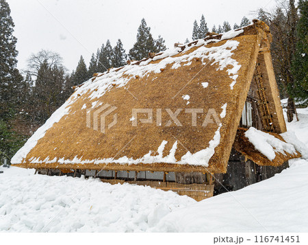 Daytime snowy landscape of the famous Gassho Zukuri Folk Village 116741451