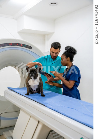 Two veterinarians discussing treatment for the sick dog and looking involved 116741492