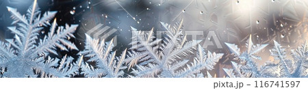 Frosty Winter Sunrise Through Ice Crystal Window Pattern 116741597