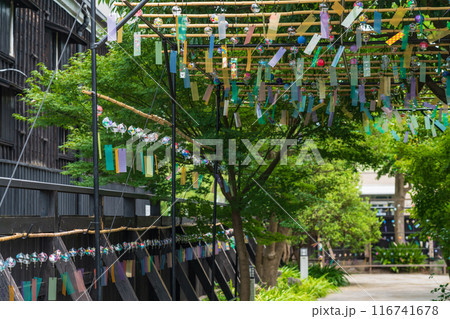 夏の半六庭園、風鈴かざり〈愛知県半田市〉 116741678