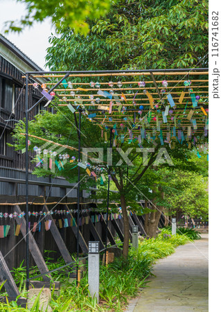 夏の半六庭園、風鈴かざり〈愛知県半田市〉 116741682