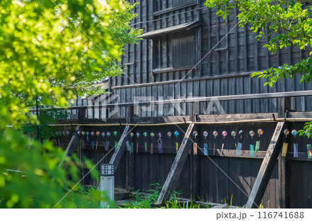 夏の半六庭園、風鈴かざり〈愛知県半田市〉 116741688