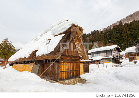 Daytime snowy landscape of the famous Gassho Zukuri Folk Village Daytime snowy landscape of the famous Gassho Zukuri Folk Village 116741850