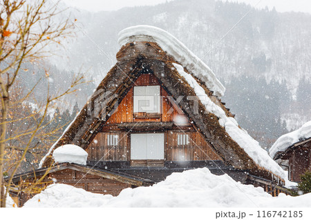 Daytime snowy landscape of the famous Gassho Zukuri Folk Village Daytime snowy landscape of the famous Gassho Zukuri Folk Village 116742185