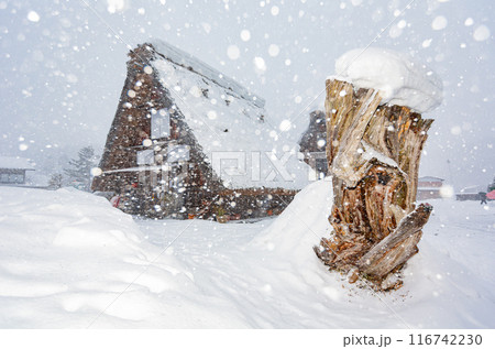 Daytime snowy landscape of the famous Gassho Zukuri Folk Village Daytime snowy landscape of the famous Gassho Zukuri Folk Village 116742230