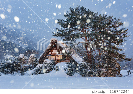 Twilight snowy landscape of the famous Gassho Zukuri Folk Village Twilight snowy landscape of the famous Gassho Zukuri Folk Village 116742244
