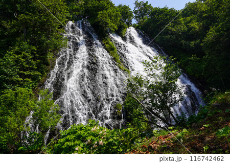 知床八景・オシンコシンの滝 116742462