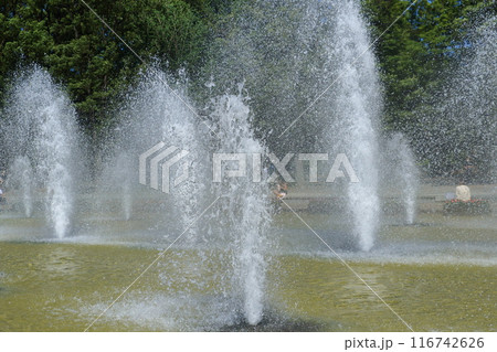 噴水のある風景　勢いよく噴き出る水 116742626