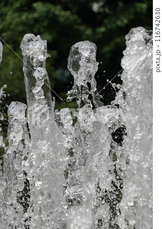 噴水のある風景　勢いよく噴き出る水 116742630
