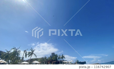青空に浮かぶ雲 116742907