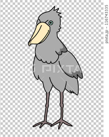 Simple illustration of a shoebill 116743335