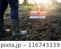 Farmer Using Rotary Tiller on a Plowed Field at Dawn 116743339