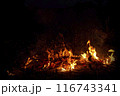 Night Fire Illuminates the Wild 116743341