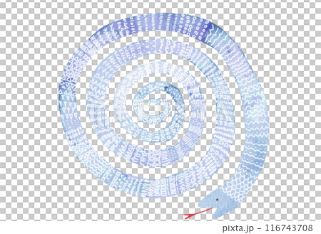 手描き水彩：とぐろを巻いた可愛いへびの絵　水色と紫色＿白い模様うろこ 116743708