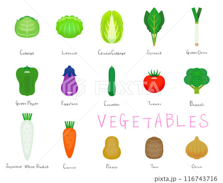 野菜のイラスト（15種類の指定野菜） 116743716