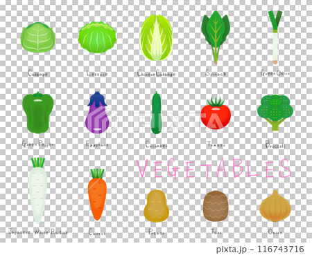 蔬菜插圖（15種指定蔬菜） 116743716