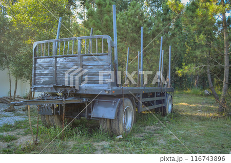 A logging truck with empty trailers drives forward along the highway against a background of forest and blue sky 116743896
