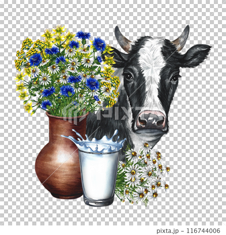 A clay pot with wildflowers, a glass of milk and a cow. A hand-drawn watercolor illustration. Isolated. For packaging and labels. For banners and flyers, packaging with labels of dairy products. 116744006
