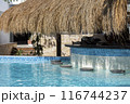 Empty Swim-Up Bar with Straw Canopy in Tropical Resort 116744237