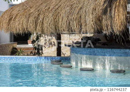Empty Swim-Up Bar with Straw Canopy in Tropical Resort 116744237